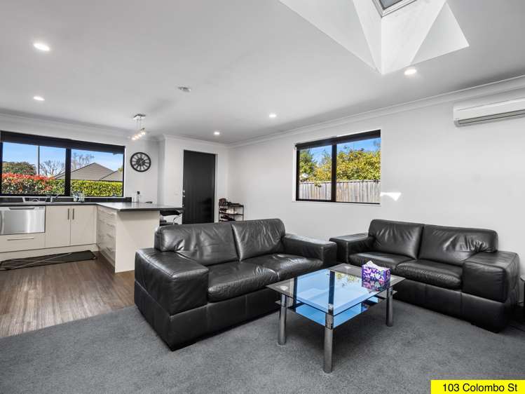 103 Colombo Street Somerfield_5