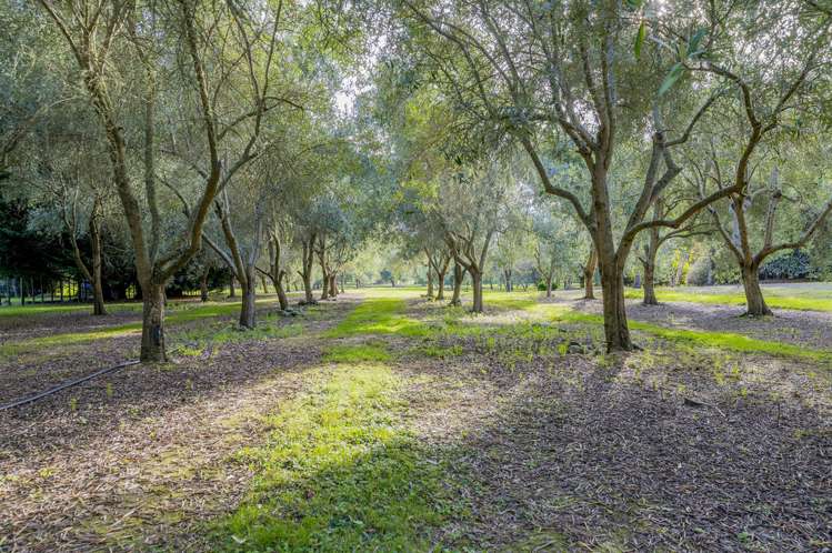 22 Greenwood Boulevard Otaki_19