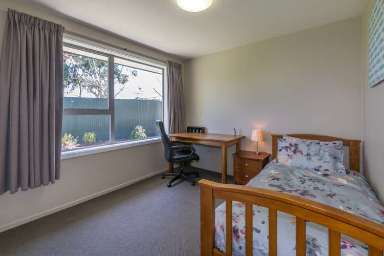 364 Ellesmere Junction Road Springston_12