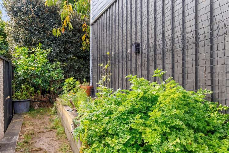 50A D'Oyly Drive Stanmore Bay_47