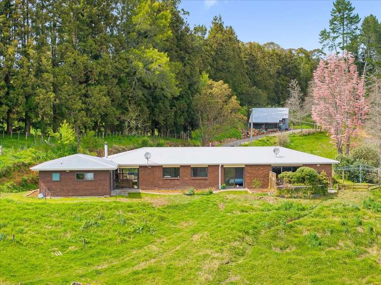 1538 State Highway 2 Whakamarama_22