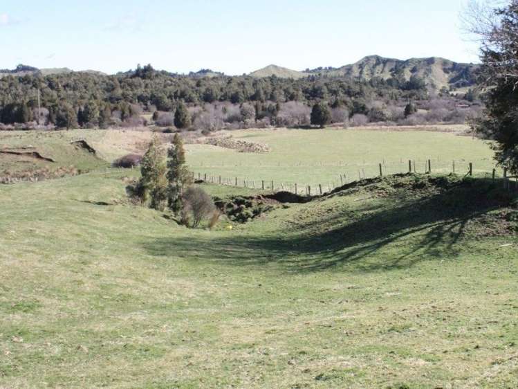 1427 Waitaanga Road Ohura_21