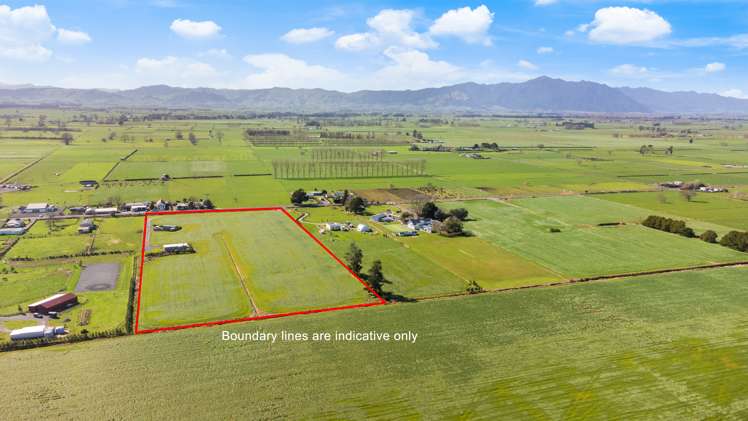 1001 No 1 Road Morrinsville_17