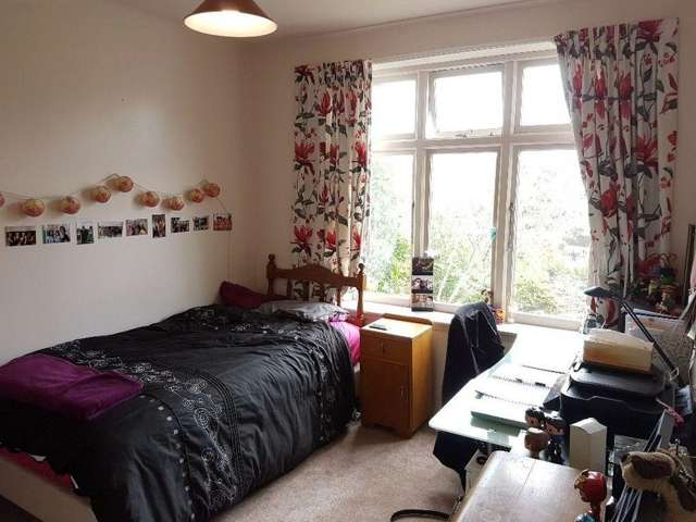  B/25 Central Terrace Kelburn_2