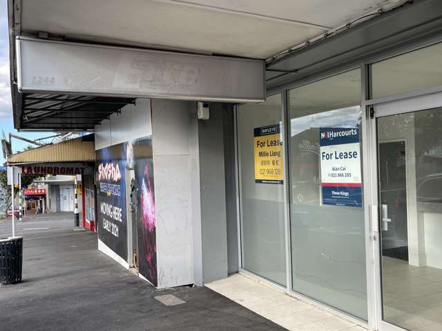 Dominion Road - Retail or Office