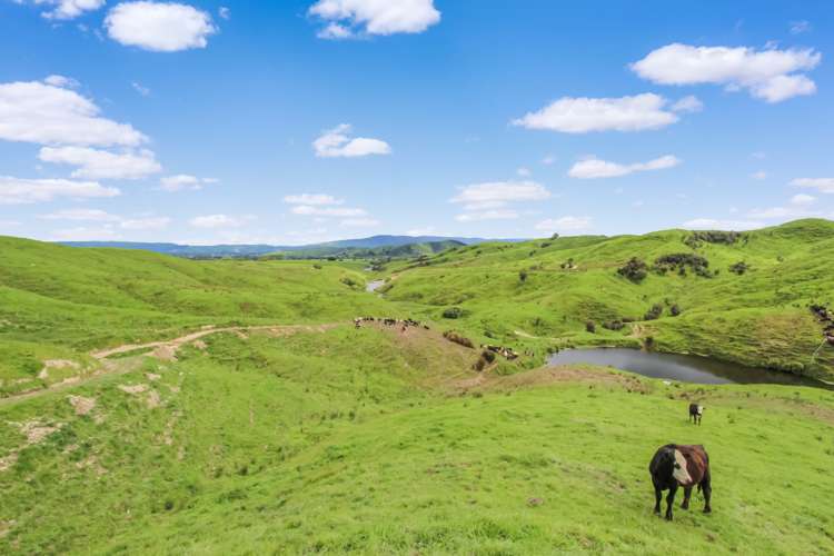 Thompsons Road Pahiatua_16