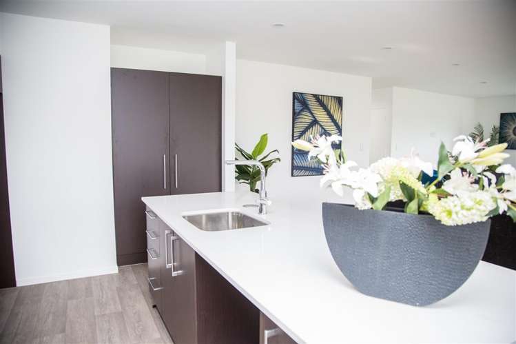 81 Beatty Road Pukekohe_16