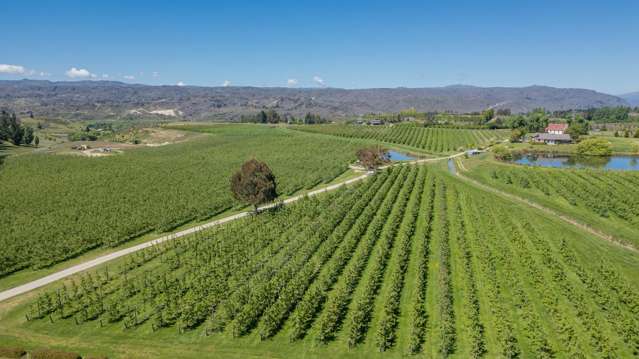 Stunning Orchard Property - 18.9 Hectares with Organic Apple Production