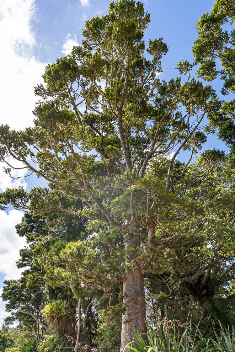 1140 Russell Road Helena Bay_23