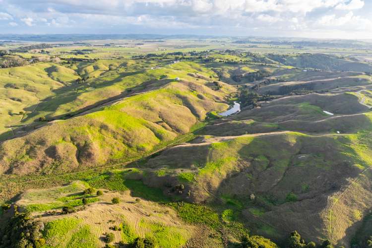 98 Rowland Road Dargaville Surrounds_13