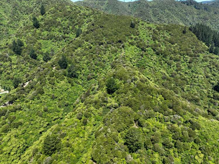 180 Totaranui Road Wainui Bay_10