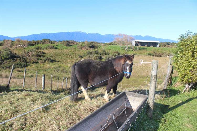 1000 Wilsons Lead Road Cape Foulwind_14