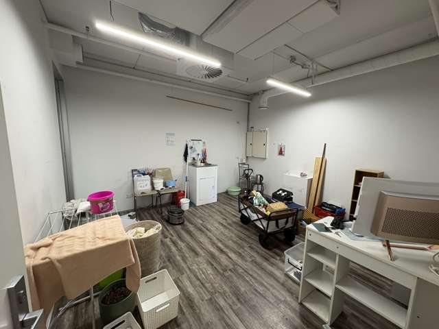 Tenancy 9/4 Williamson Avenue Ponsonby_3