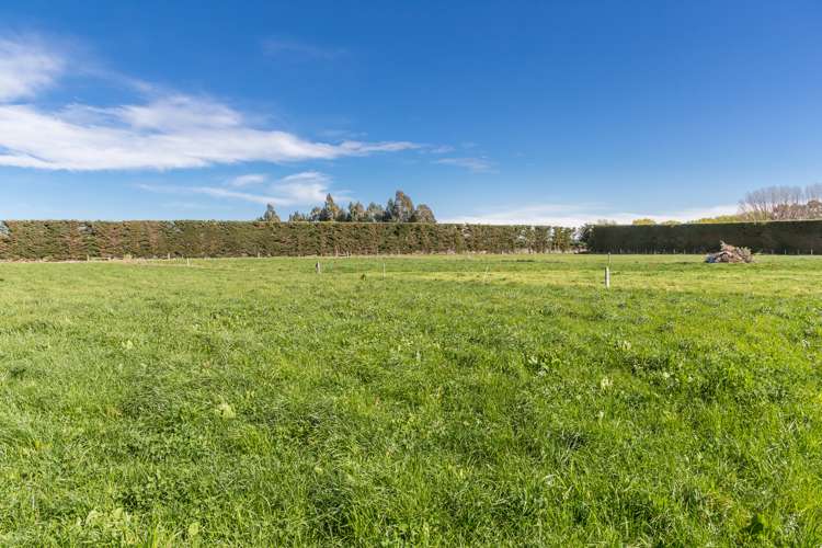 264 Greenpark Road Lincoln_20