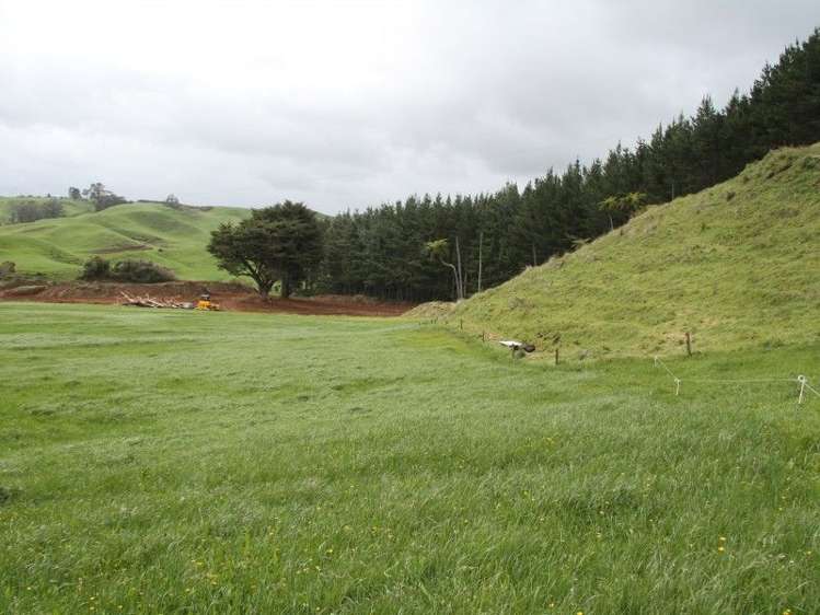 382 Awai Road Tarurutangi_26