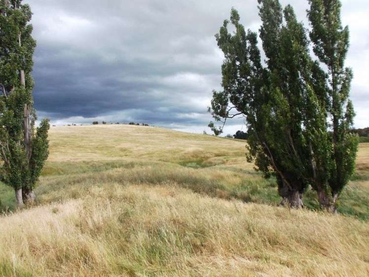 66 Jg Wilson Drive Waipukurau and Surrounds_7