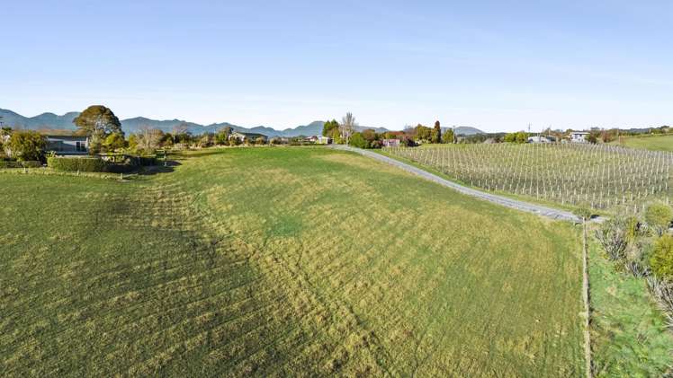 71 Bronte Road East Tasman_10