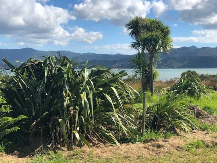 109 Kelly Jade Avenue Matarangi_7