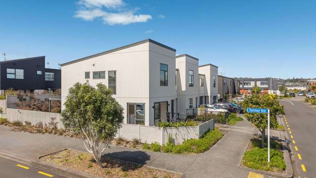 17 Whimbrel Road Flat Bush_1