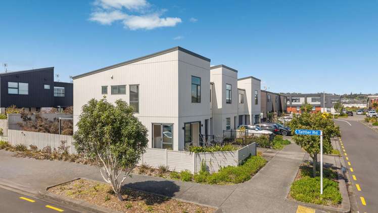 17 Whimbrel Road Flat Bush_1