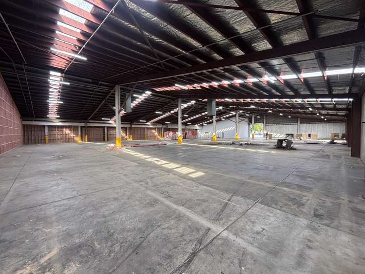 11 McDonald Street Morningside_5