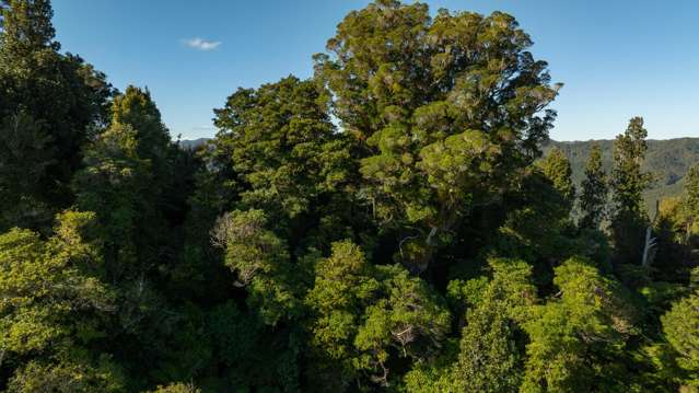 3008 Waitotara Valley Road Waitotara_2