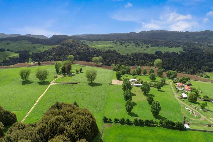 267 Whakapapa Road Kakahi_16