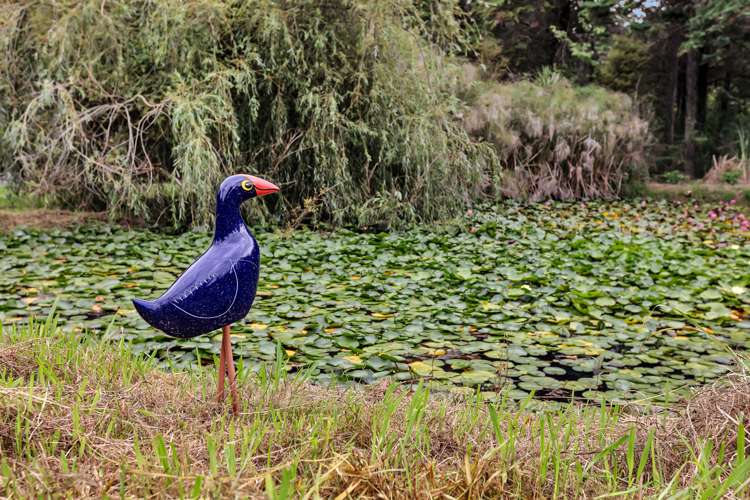 449 Cemetery Road Maunu_41