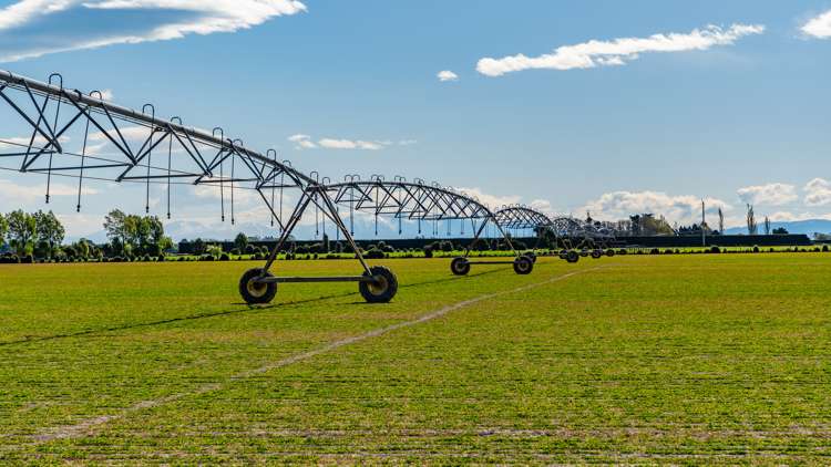 Selwyn Lake Road Leeston_5