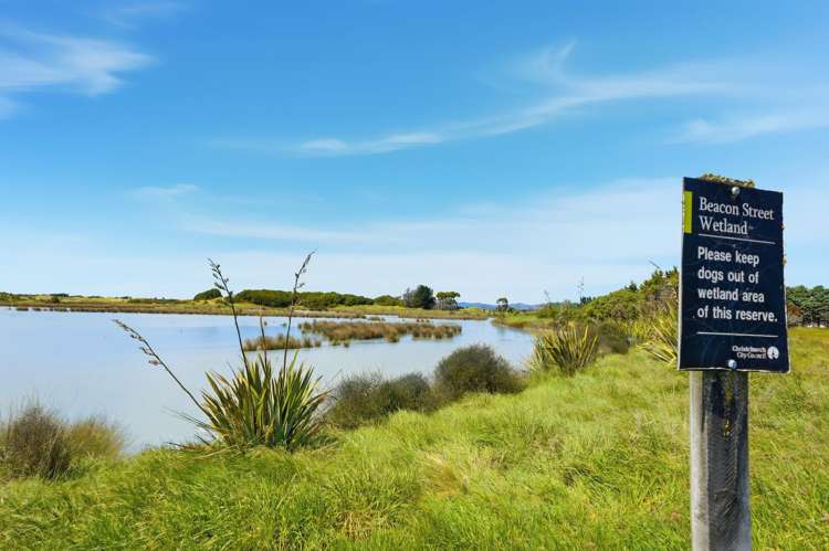 194 Kainga Road Kainga_21