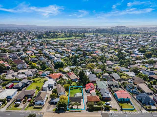 255 Hillsborough Road Mount Roskill_2