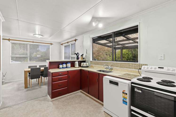 7 Pain Street Bulls_2