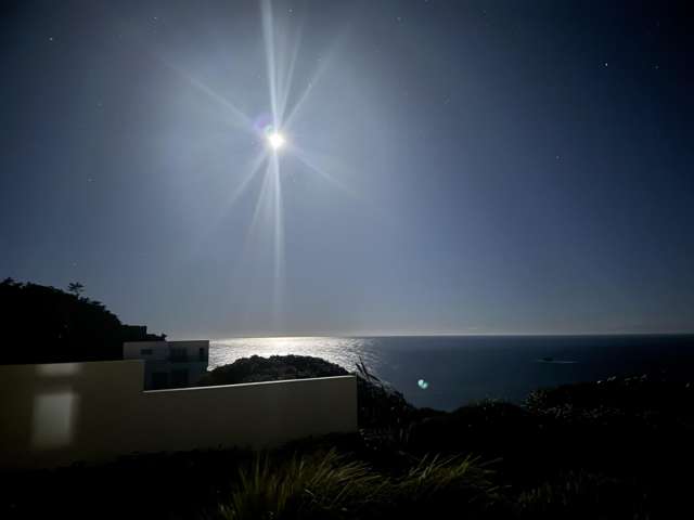 Irreplaceable coastal masterpiece