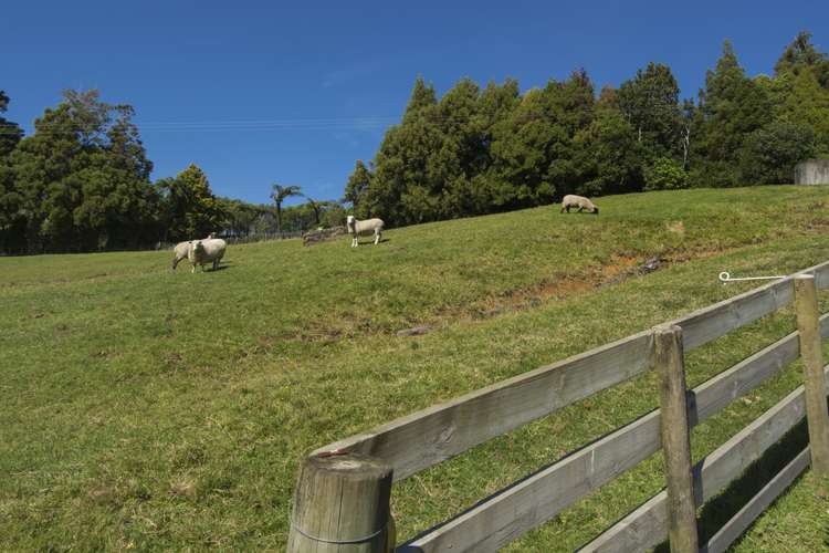 97 Ross Road Whakamarama_14