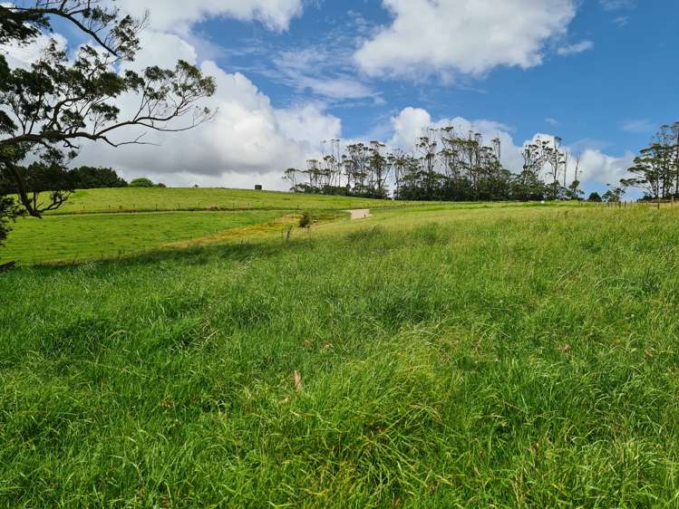 Millbrook Road Waipu_13