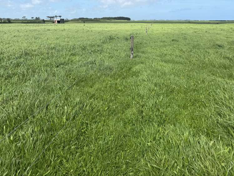 4782 South Road Opunake_11