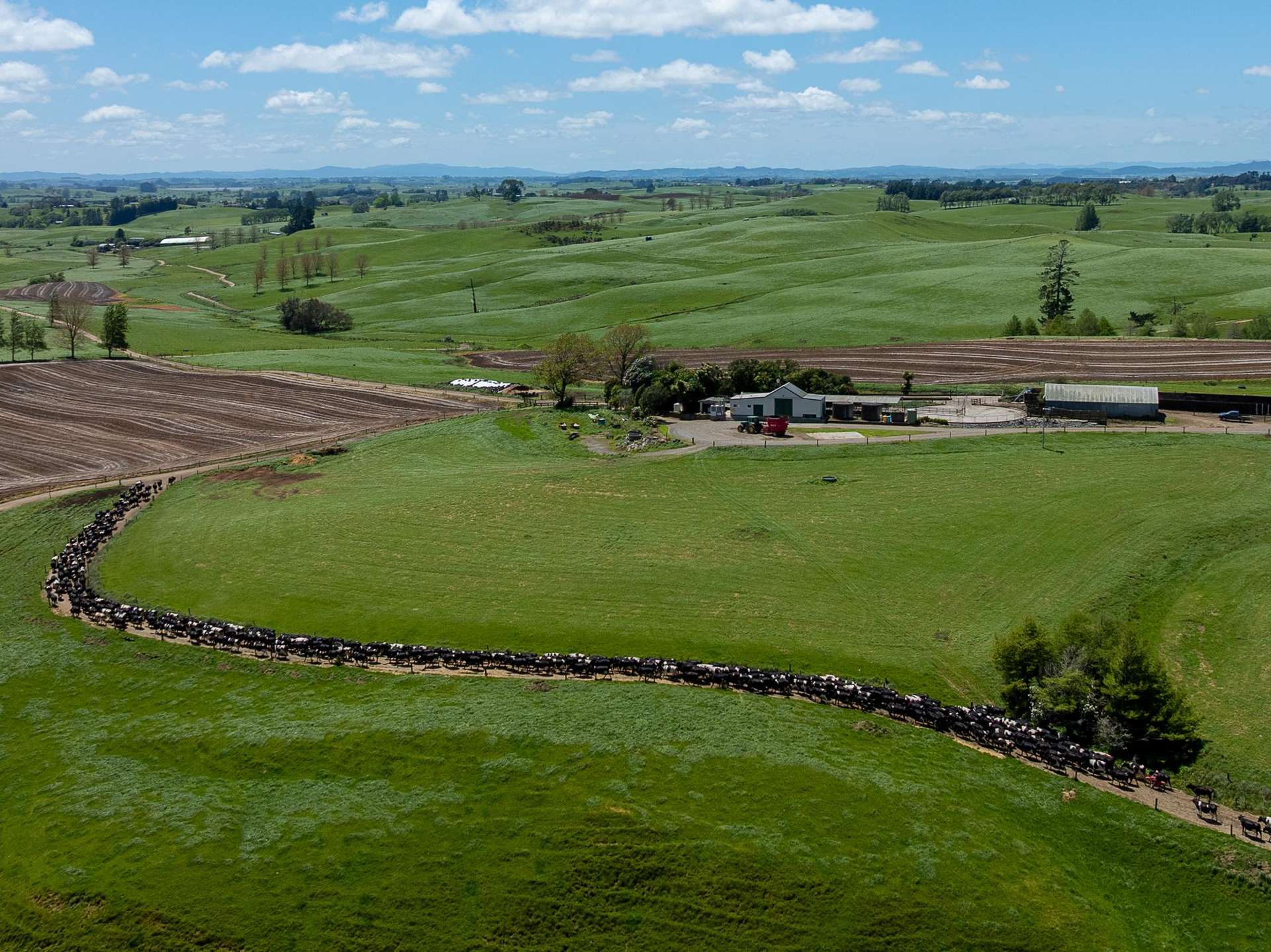 529 Waikokowai Road Huntly_0