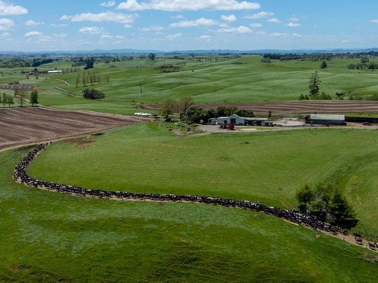 529 Waikokowai Road Huntly_0