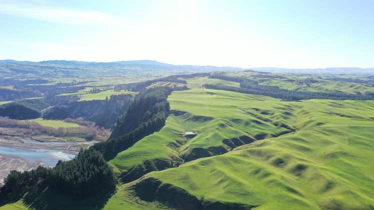 2029 Matapiro Road Crownthorpe_31