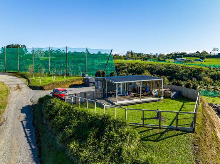 299b Whakamarama Road Whakamarama_11