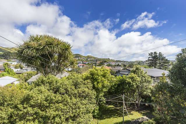 62 Bould Street Johnsonville_4