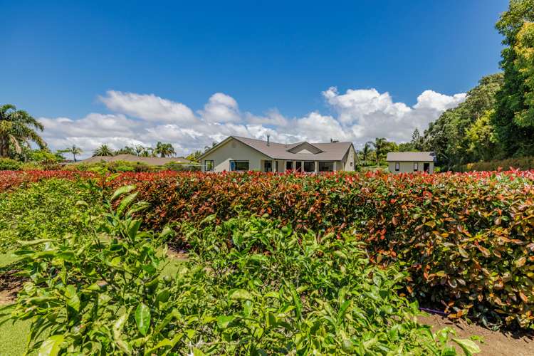 18 Blue Marlin Drive Kerikeri_51