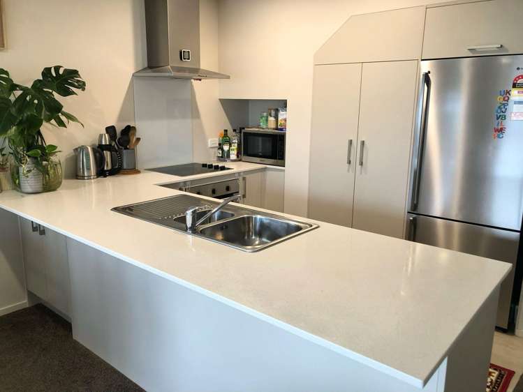 3 Tribute Loop Takanini_3