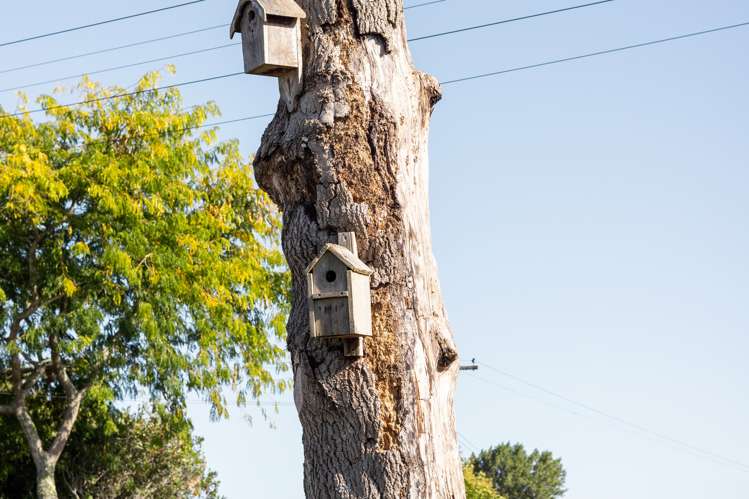 88 Comries Road Chartwell_18