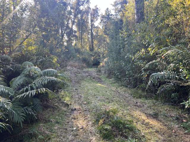 1 Kakapo Way Moana_2