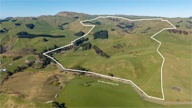 467 Waitahora Valley Road Dannevirke_3