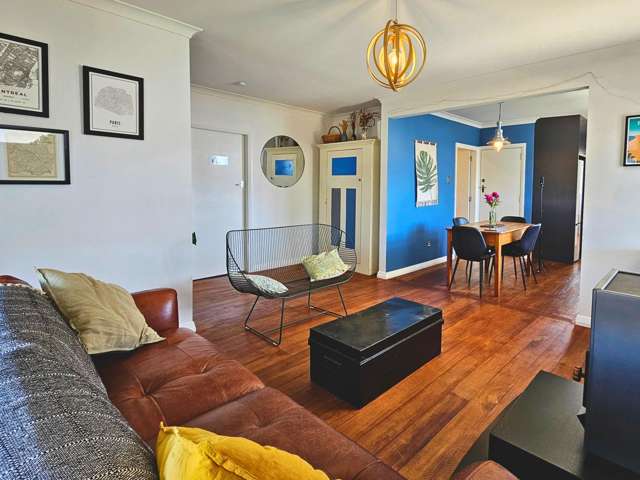 29 Hutcheson Street Blenheim_1