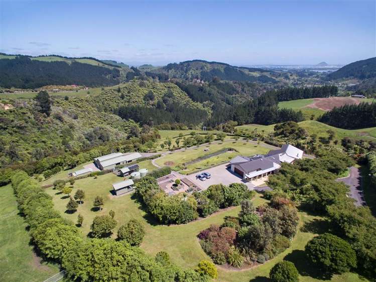 157b Kaiate Falls Road Kaimai_1