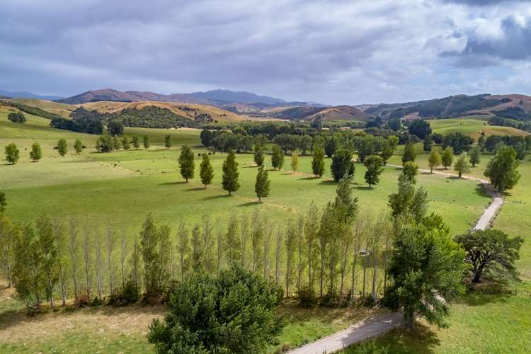 631 Opaki Kaiparoro Road Kopuaranga_16