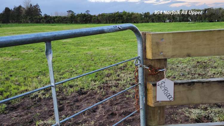 354 + 356 Norfolk Road_2